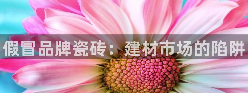 杏鑫平台怎么样黑钱吗是真的吗