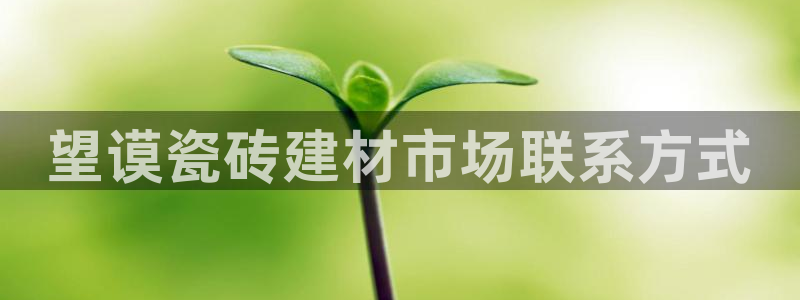 杏鑫平台正规吗是真的吗