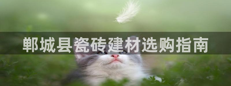 杏鑫官网最新信息新闻报道
