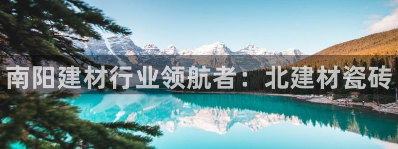 杏鑫平台代理怎么样啊