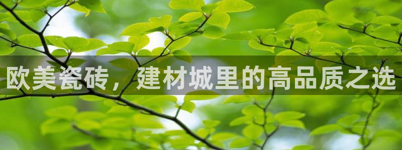 杏鑫娱乐怎么样