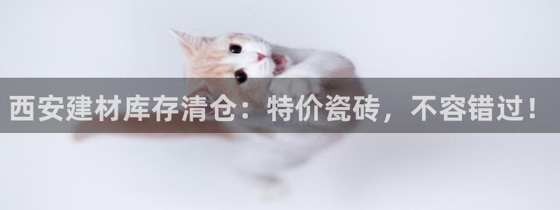 杏鑫平台招商怎么样