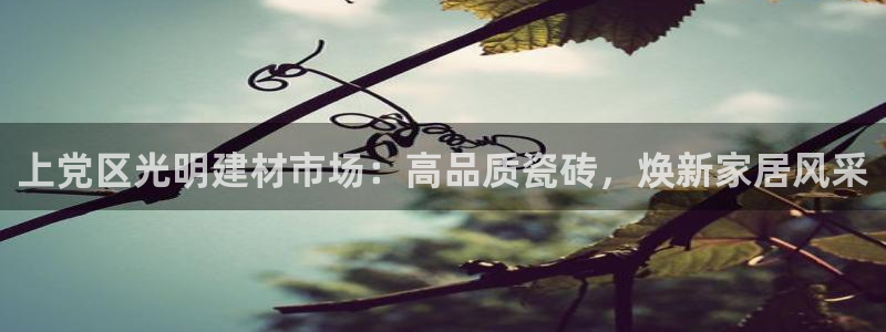 杏鑫平台靠谱吗