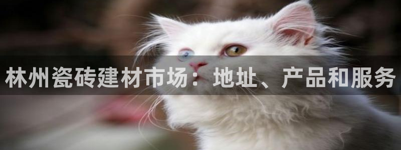杏鑫平台靠谱吗