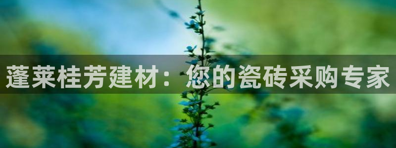 杏鑫主管
