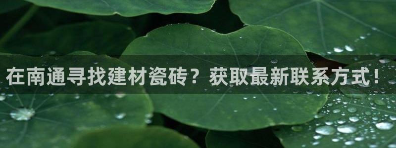 杏鑫平台怎么样