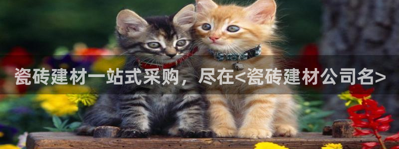 杏鑫平台登录地址