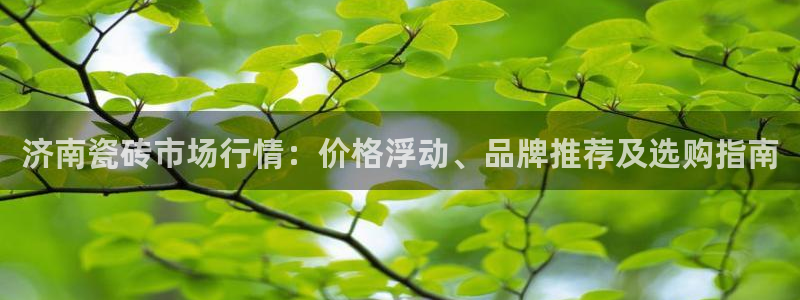 杏鑫平台代理注册登录不了怎么办呀视频