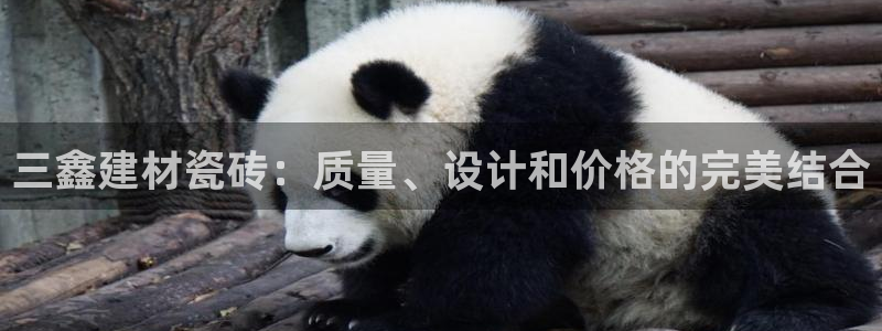 杏鑫平台登录地址是什么
