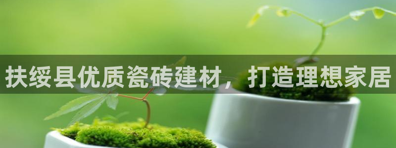杏鑫平台代理注册流程图