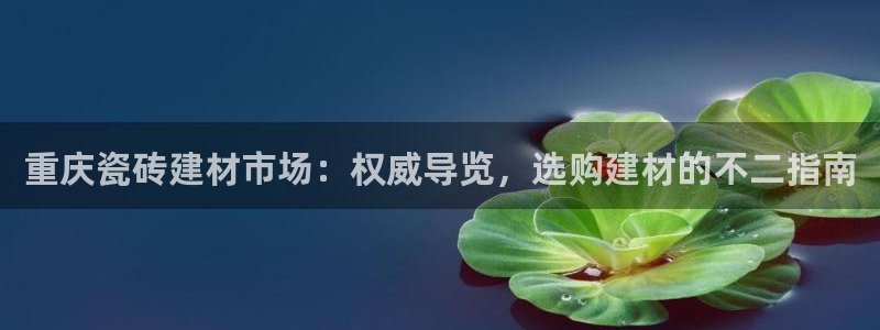 杏鑫平台怎么样黑钱吗知乎