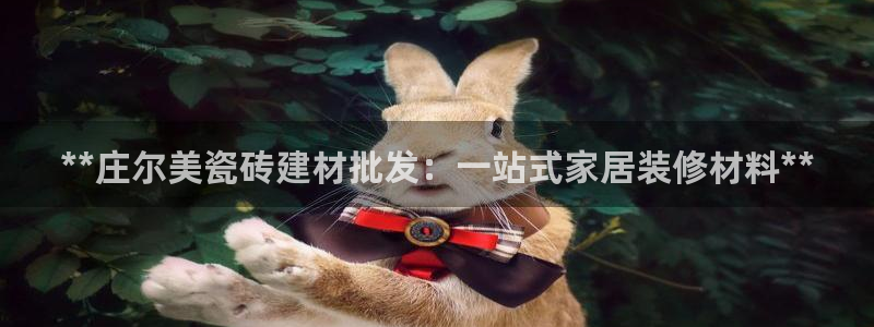 杏鑫平台代理注册流程图