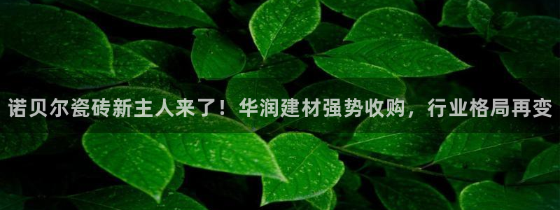杏鑫官网注册账号