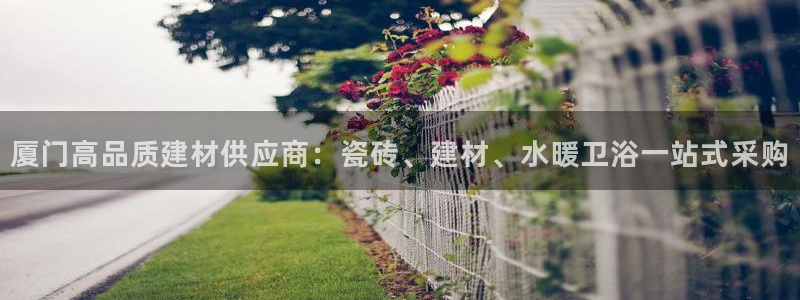 杏鑫官方平台怎么样