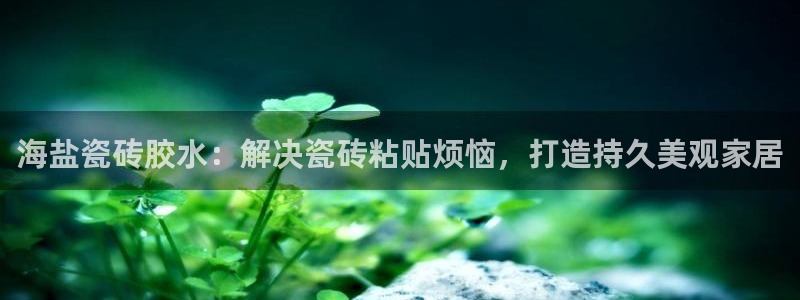 杏鑫平台注册登录