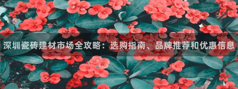 杏鑫平台招商电话号码