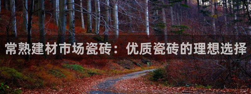 杏鑫有亏损返点吗