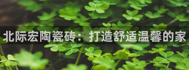 杏鑫娱乐平台测速怎么样