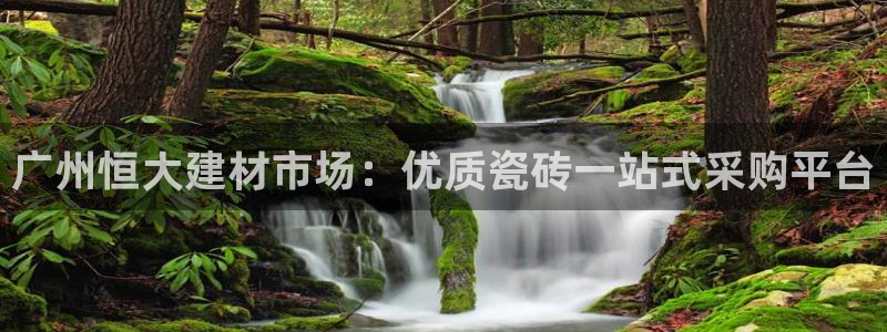 杏鑫平台怎么样知乎