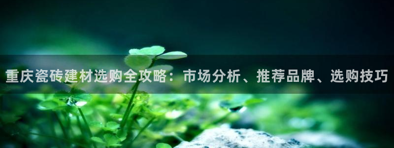 杏鑫娱乐官方网站客户端登录
