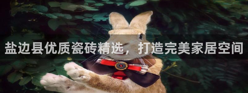 杏鑫平台登录地址在哪