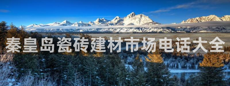 杏鑫官方平台怎么样