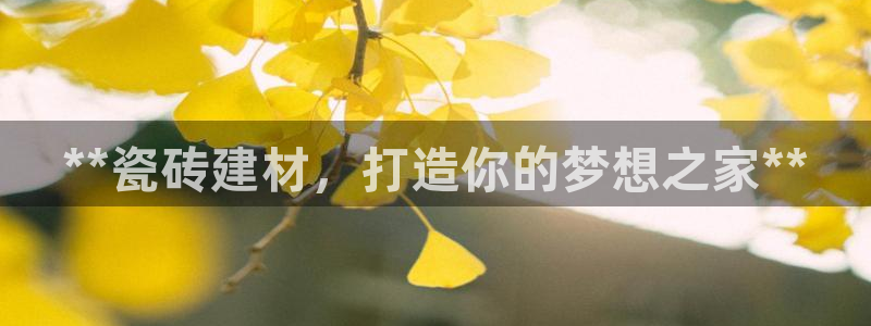 杏鑫官网注册账号是什么意思