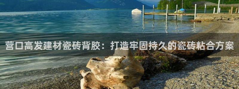 杏鑫代理注册登录