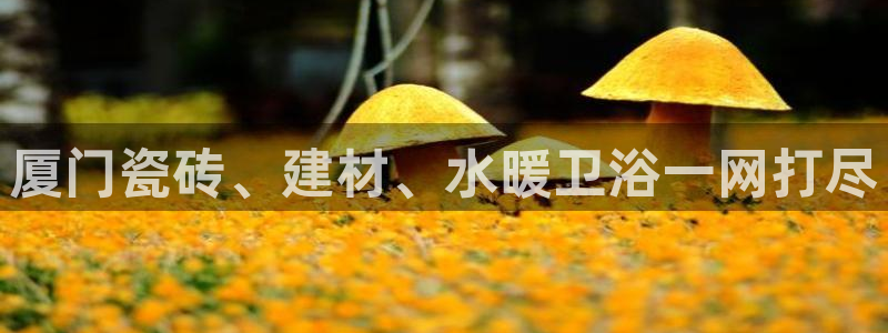 杏鑫平台登录