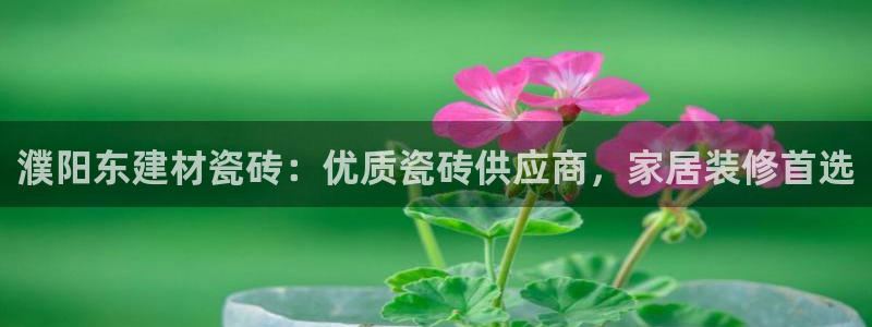杏鑫平台怎么样黑钱吗