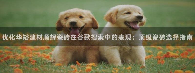 杏鑫官网注册账号怎么注册不了