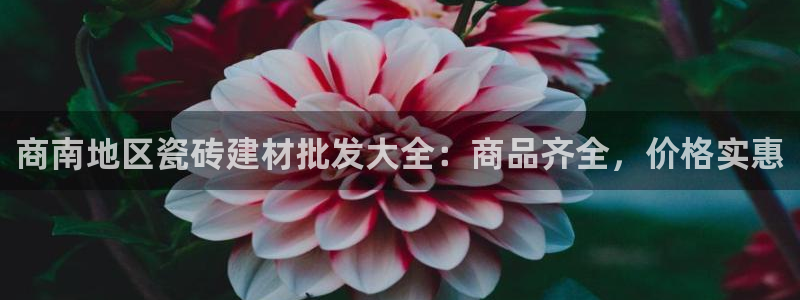 杏鑫官网注册账号密码是什么