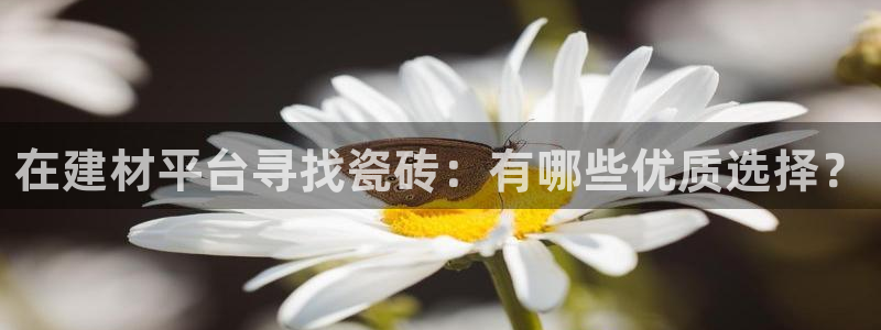 杏鑫平台注册入口在哪里找