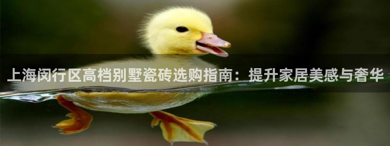 杏鑫官网注册账号怎么注册不了