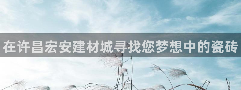 杏鑫官网注册账号是什么