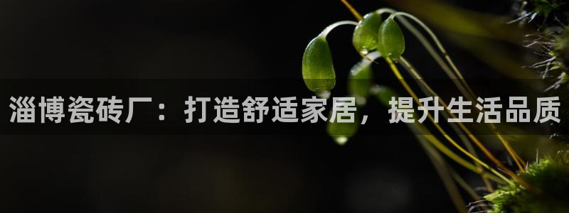 杏鑫平台靠谱吗