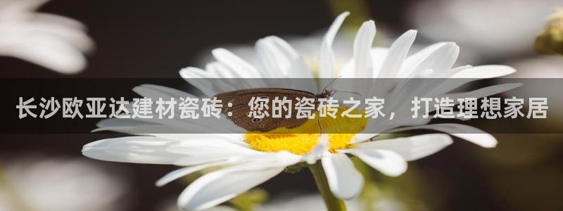 杏鑫平台是黑平台吗是真的吗