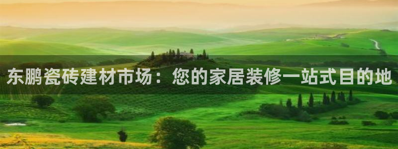 杏鑫官网注册账号密码是什么