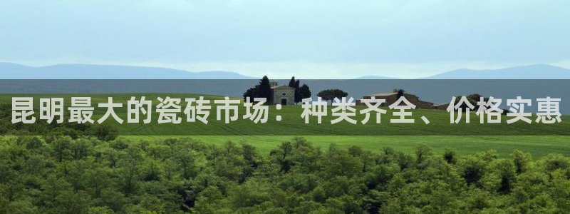 杏鑫平台代理怎么做的