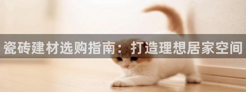 杏鑫平台代理注册登录不了怎么办呀视频