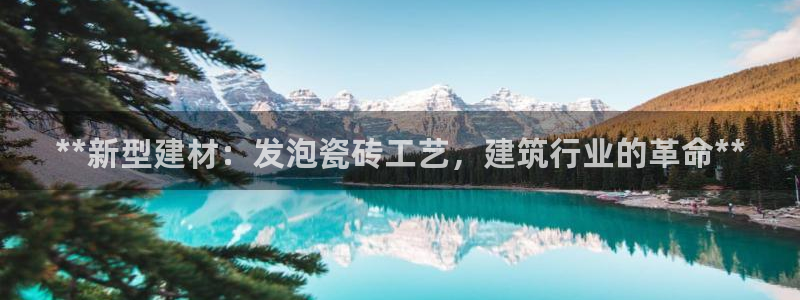 杏鑫娱乐开发团队