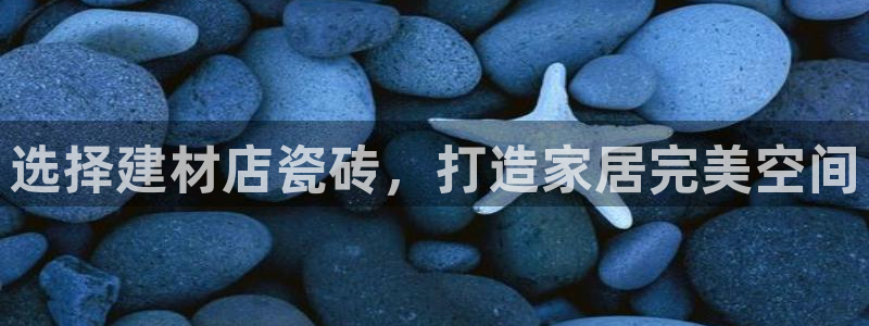 杏鑫平台代理怎么样啊