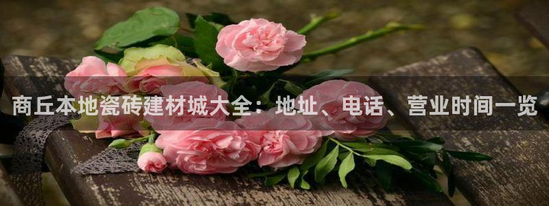 杏鑫平台招商电话号码