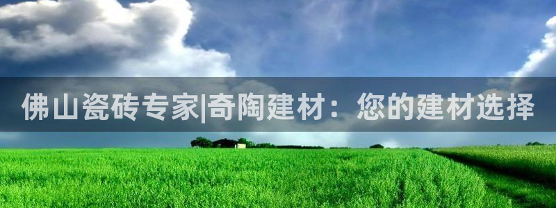 杏鑫主管