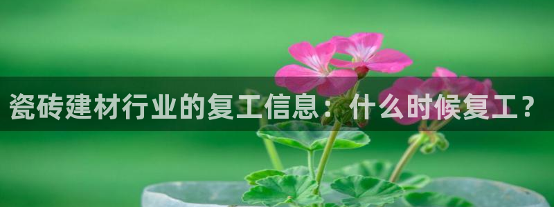 杏鑫平台注册入口在哪