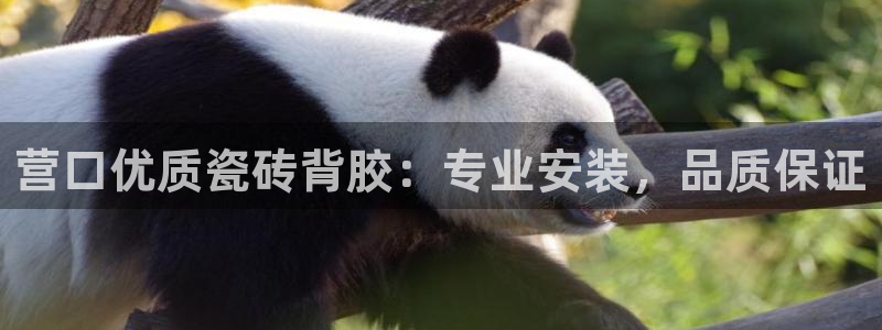 杏鑫平台招商