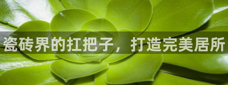 杏鑫官方平台怎么样啊