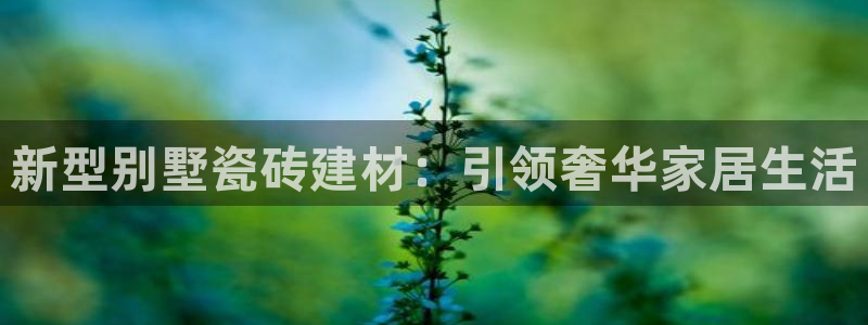 杏鑫平台提供