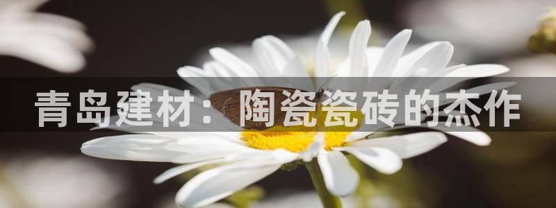 杏鑫娱乐平台测速