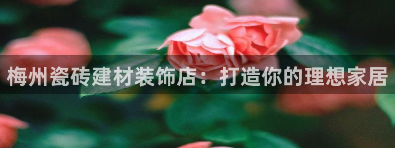 杏鑫平台直属